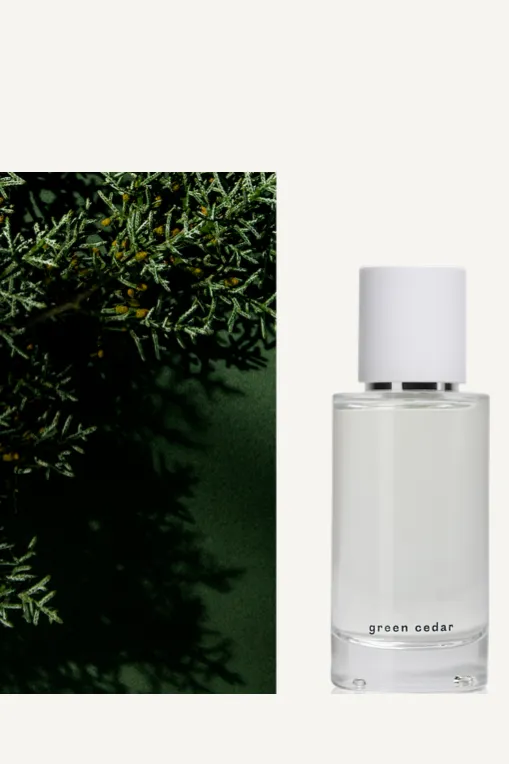 Abel Eau De Parfum Green Cedar