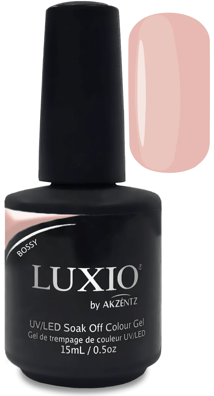 Akzentz Luxio - Bossy