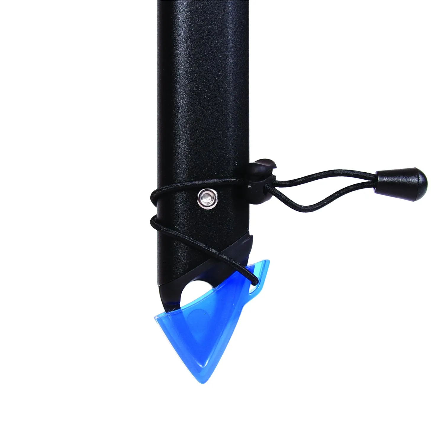 Blue Ice Blackbird