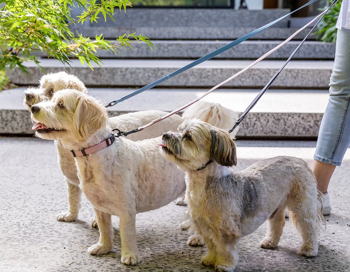 FuzzYard Life Dog Lead - Slate Grey