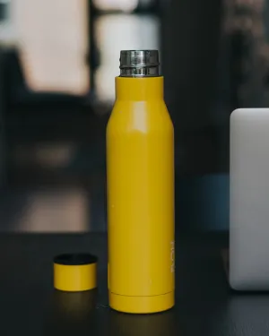 Insulated Stainless Steel Water Bottle