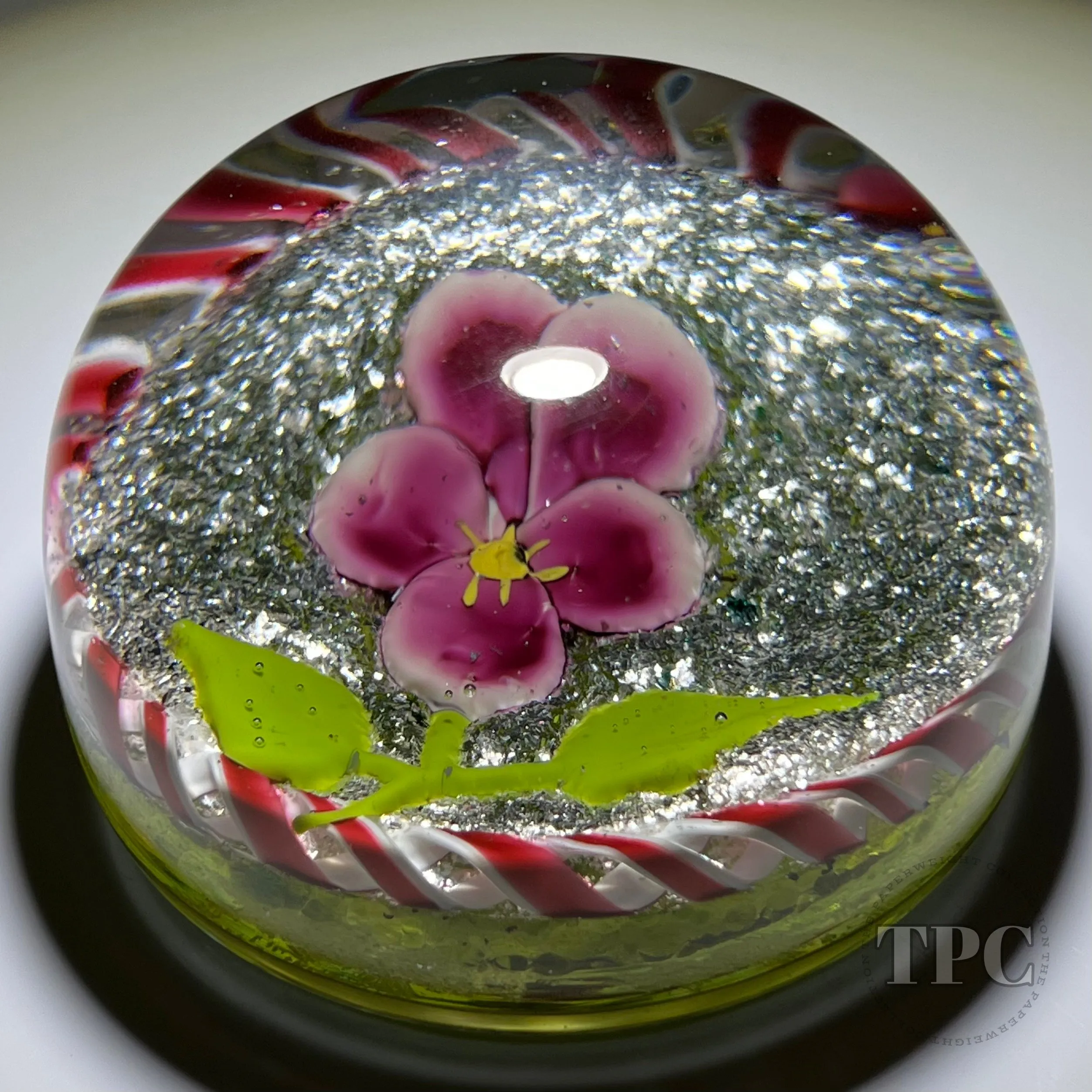Rare Antique Val St Lambert Art Glass Paperweight Lampwork Pansy on Mica Ground with Torsade