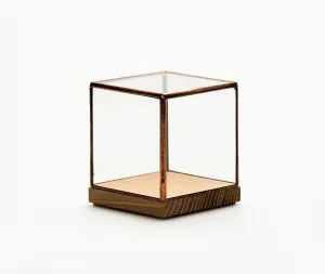 Showcase 80