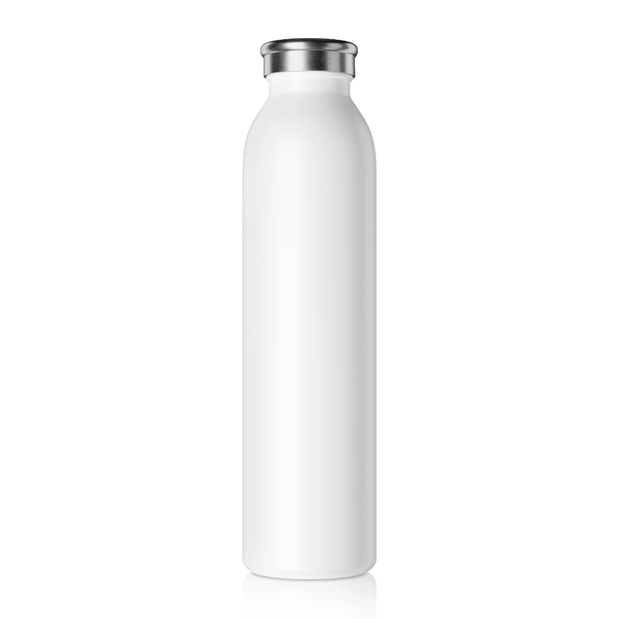 Stainless Steel Water Bottle - 20oz