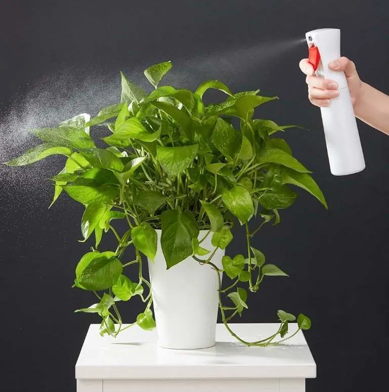 Xiaomi Yijie Sprayer Bottle Fine Mist Water Spray